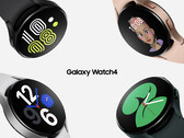 O Galaxy Watch4 logo será elegível para o One UI Watch beta builds. (Fonte da imagem: Samsung)