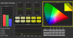 Calman ColorChecker: DisplayP3 modo de exibição - saturação