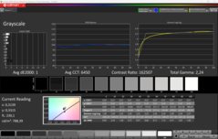 CalMAN escala de cinza calibrada