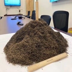 Um amontoado de 1 milhão de mosquitos (Fonte da imagem: The Lee County Mosquito Control District; cortado)
