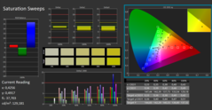 Calman ColorChecker saturação