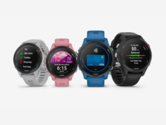 Os rumores sobre um Garmin Forerunner 265 começaram logo após o lançamento do relógio Garmin Forerunner 255 (acima). (Fonte de imagem: Garmin)