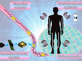 Um computador de fibra única que integra transistores, diodos, resistores, capacitores e LEDs em um fio flexível e lavável (Fonte da imagem: Nano-Micro Letters) 
