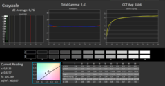 CalMAN: Grayscale (after calibration)