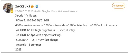 Xperia 1 V adivinha as especificações. (Fonte da imagem: ZACKBUKS)