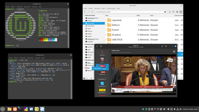 Captura de tela da sessão Wayland ainda experimental do Cinnamon 6.0 (Imagem: Linux Mint).