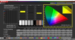 CalMAN ColorChecker (perfil: Display P3, espaço de cor alvo P3)