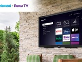 A Outdoor Element Roku TV tem uma tela anti-ofuscante para que você possa vê-la sob a luz solar brilhante. (Fonte da imagem: Roku)