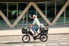 A Tern revelou a bicicleta elétrica Quick Haul com acessórios para adaptar o veículo às suas necessidades de transporte. (Fonte da imagem: Tern)