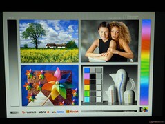 Amplos ângulos de visão IPS