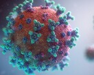 Algumas pessoas podem sofrer de sintomas a longo prazo, mesmo depois de derrotar o coronavírus mortal (Imagem: Fusion Medical Animation)