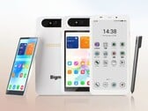 O Bigme HiBreak Dual 3 possui uma tela pequena e removível.
