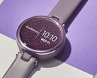 Parece que a Garmin substituirá em breve o Lily, na foto. (Fonte da imagem: Garmin)
