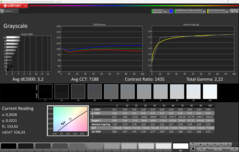 CalMAN Grayscale (Escala de cinza)