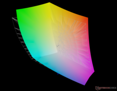 vs. Adobe RGB: 92,1% de cobertura