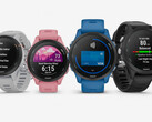 A série Garmin Forerunner 255 vem em numerosas configurações, incluindo dois tamanhos. (Fonte da imagem: Garmin)