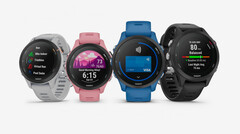 A série Garmin Forerunner 255 vem em numerosas configurações, incluindo dois tamanhos. (Fonte da imagem: Garmin)