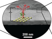 camada fina de molécula de 1 nm de transistores térmicos colocados sobre semicondutores (Fonte da imagem: Science)