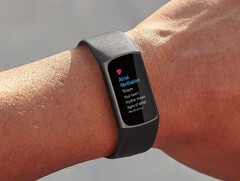 A funcionalidade Fitbit Irregular Heart Rhythm Notifications foi estendida para mais de 20 países em todo o mundo. (Fonte de imagem: Fitbit)