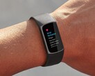 A funcionalidade Fitbit Irregular Heart Rhythm Notifications foi estendida para mais de 20 países em todo o mundo. (Fonte de imagem: Fitbit)