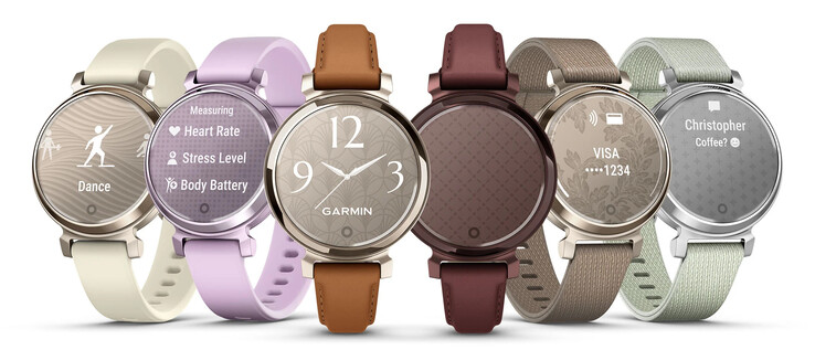(Fonte da imagem: Garmin)