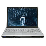 Toshiba Satellite P205D-S7479 Toshiba Satellite P205D-S7479