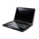 Toshiba Satellite P300 Toshiba Satellite P300